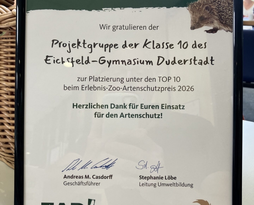 Urkunde